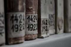Read more about the article Beginner genealogy archive tips