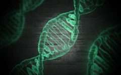 Read more about the article Genes. Why do we look like our grandparents