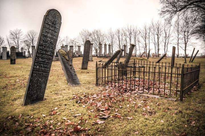 Read more about the article What can be found in the cemetery