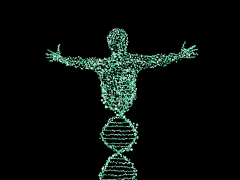 Подробнее о статье ДНК тест — верить или нет