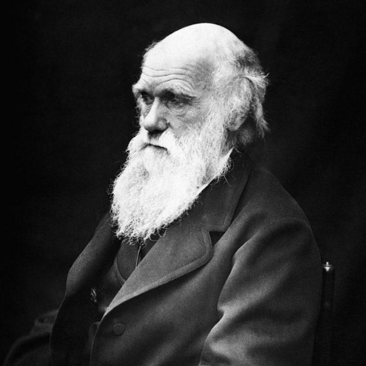 Детальніше про статтю Чарльз Дарвін – родовід геніїв